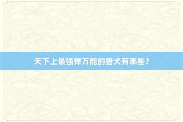 天下上最强悍万能的猎犬有哪些？