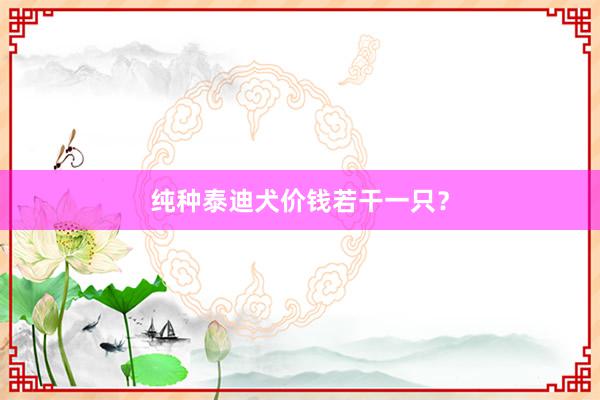 纯种泰迪犬价钱若干一只？